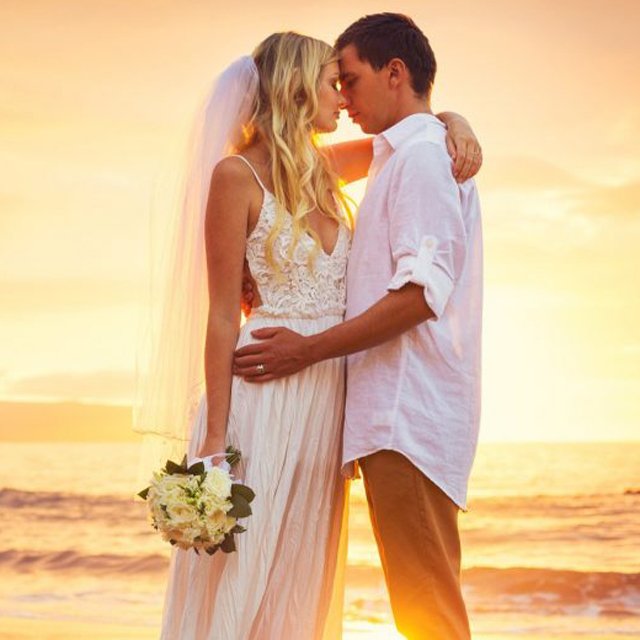 Wedding vehicles byron bay luxury transfers