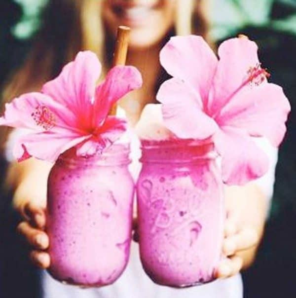 5 BEST WELLNESS RETREATS IN BYRON BAY Byron Bay Luxury Transfers